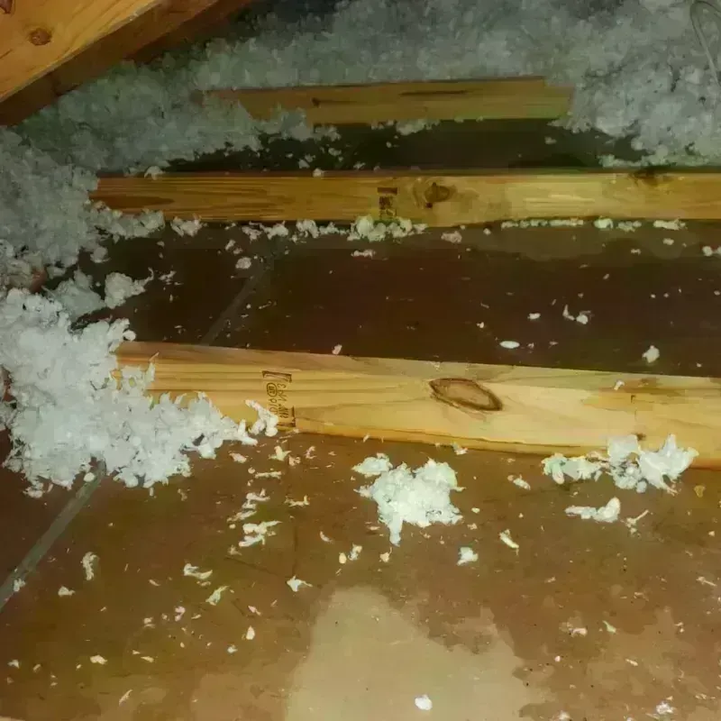 Attic Water Damage in Meeker, CO